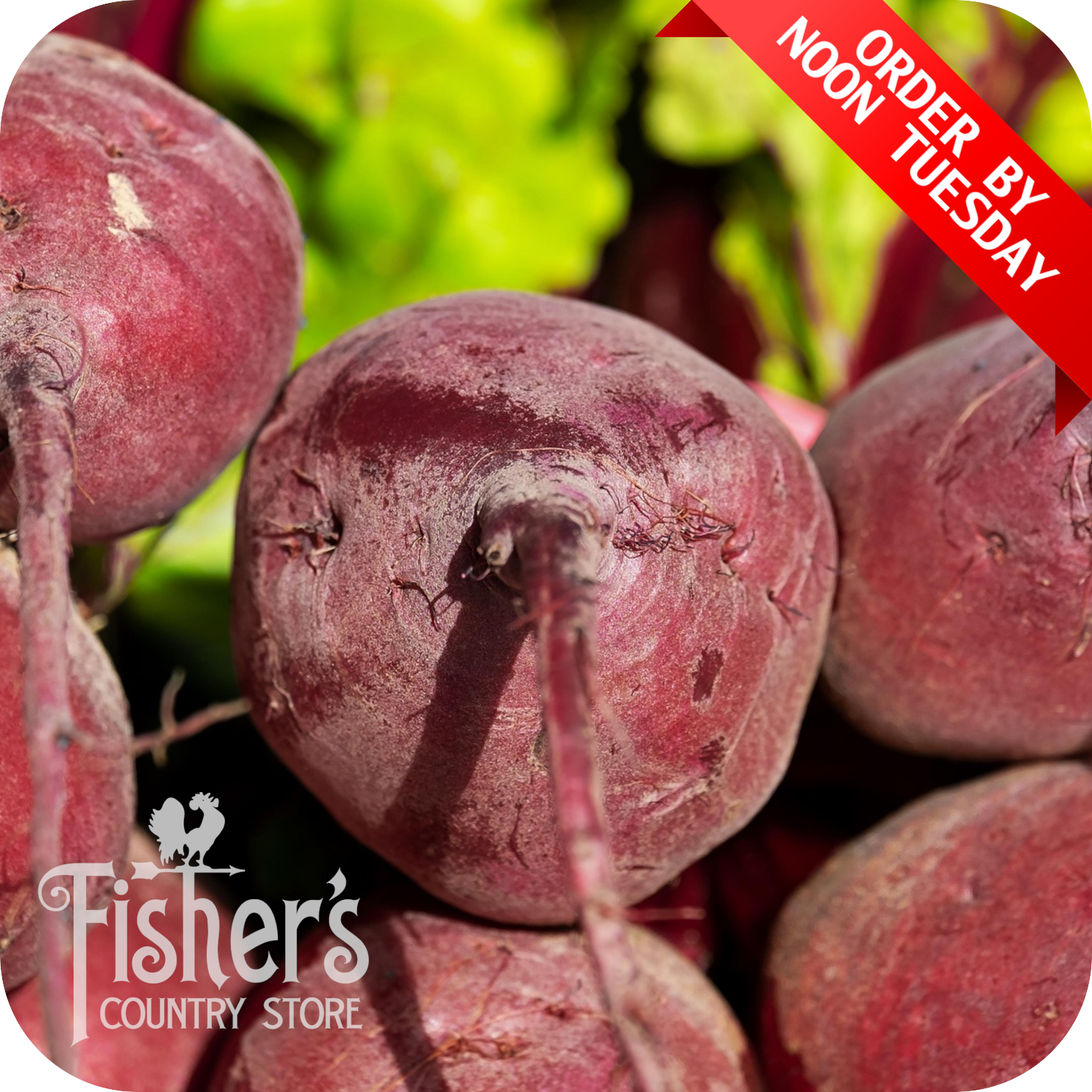 25 lb. Red Beets, Canada – Fisher's Country Store