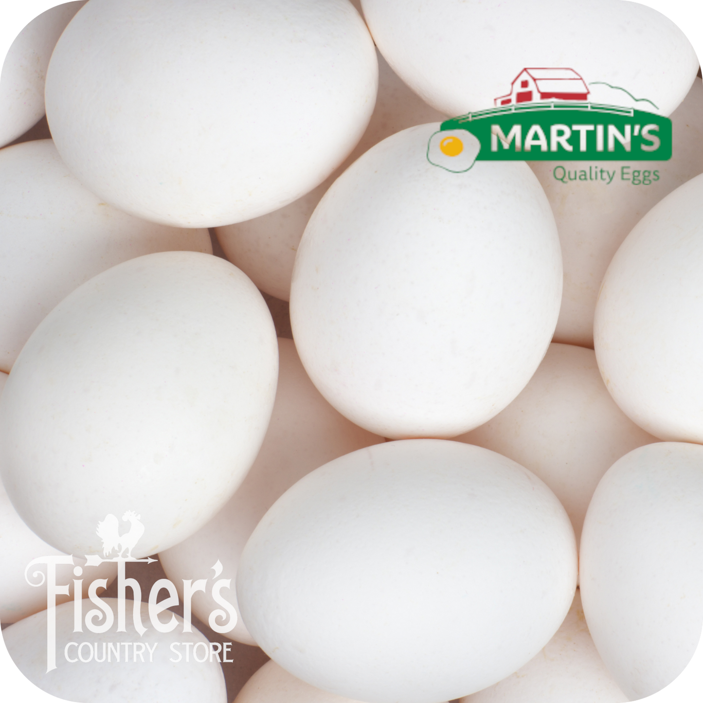 15 dz. Large White Eggs