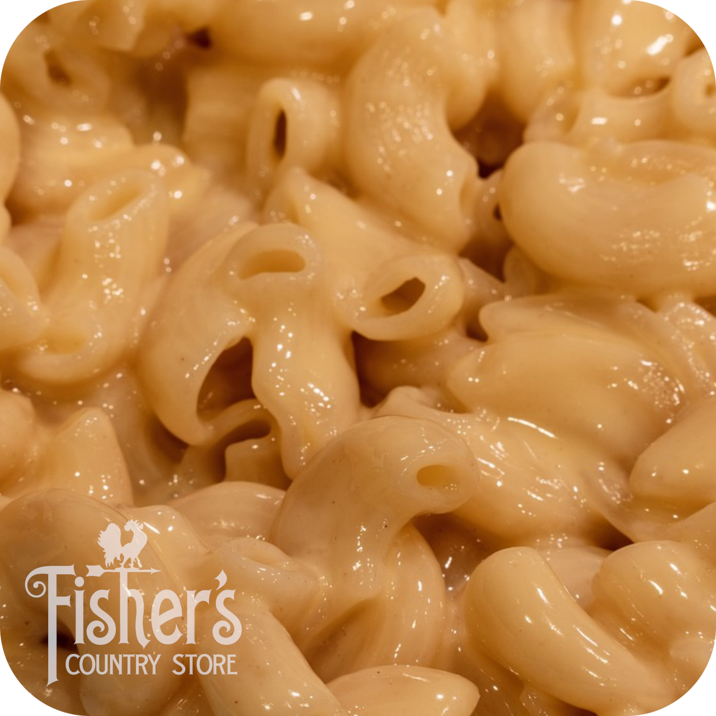 20 lb. Macaroni Pasta - HOT DEAL