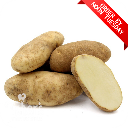 10/5 lb. Russet Potatoes