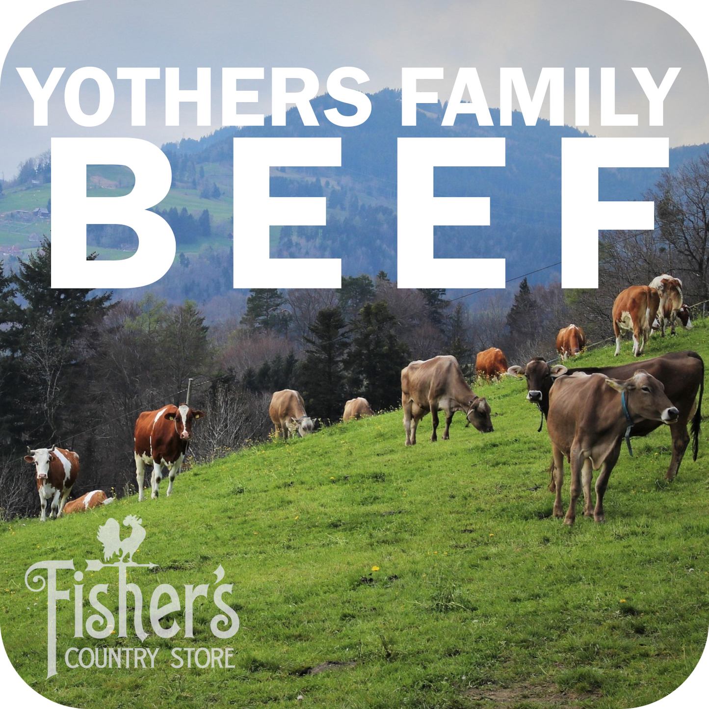 110-130 lb.* Yothers Family Local Beef Quarter - Cut, Wrapped, & Frozen $7.55/lb.